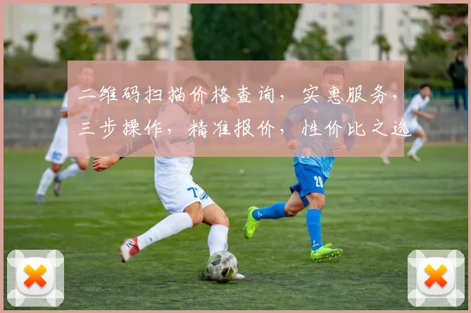 二维码扫描价格查询，实惠服务，三步操作，精准报价，性价比之选，为您节省每一分。
