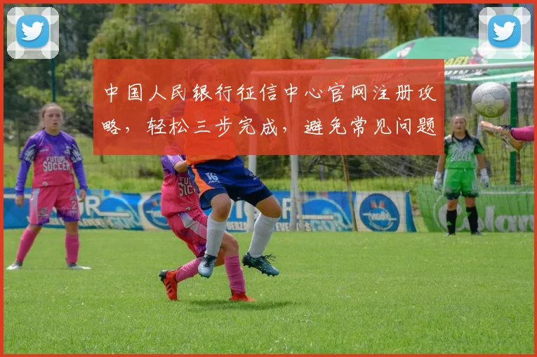 中国人民银行征信中心官网注册攻略，轻松三步完成，避免常见问题，高效注册成功