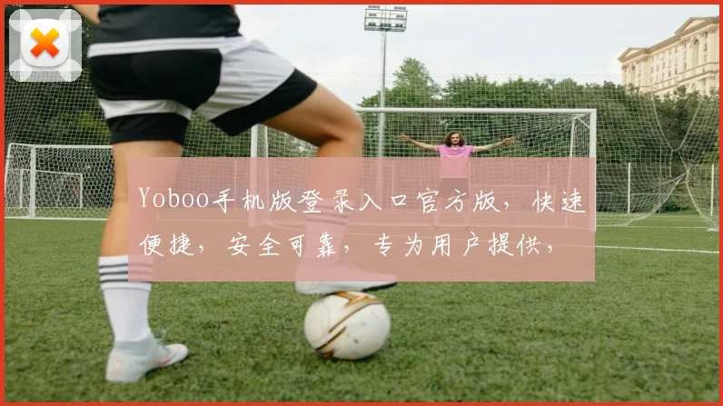 Yoboo手机版登录入口官方版，快速便捷，安全可靠，专为用户提供，不容错过