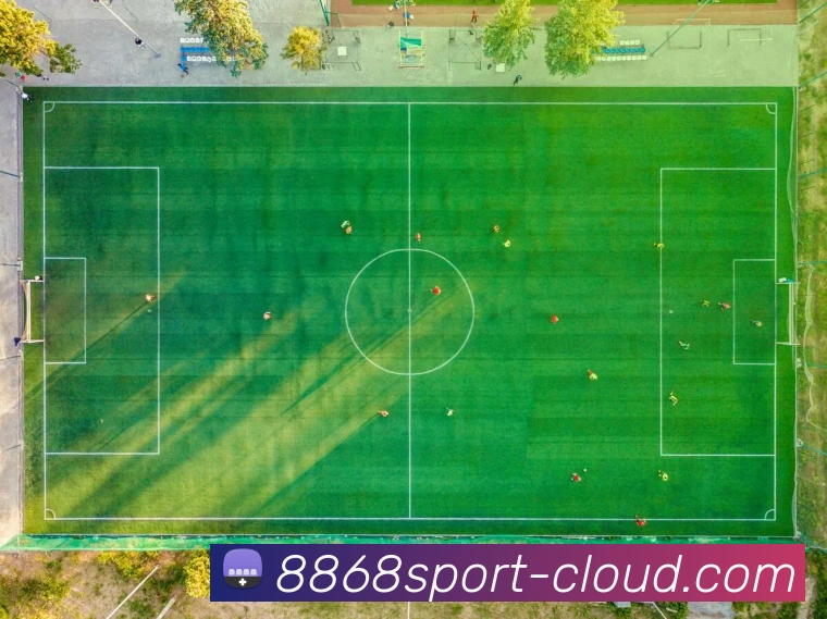 8868体育网页版平台生态图